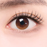 Lenstown 梨芝瞳 Joy Brown Beige Brown 月拋(2片)